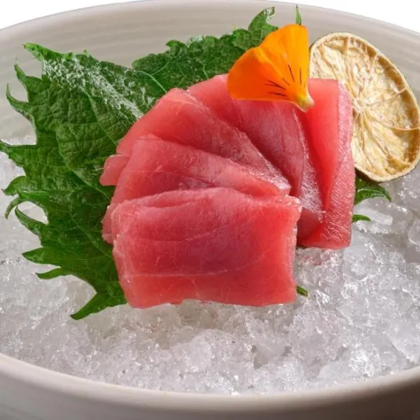 Sashimi Maguro